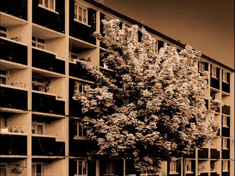 Taking Liberties Exhibition