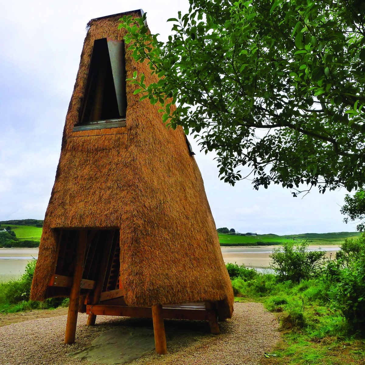 ArtScape @ Ards Forest Park