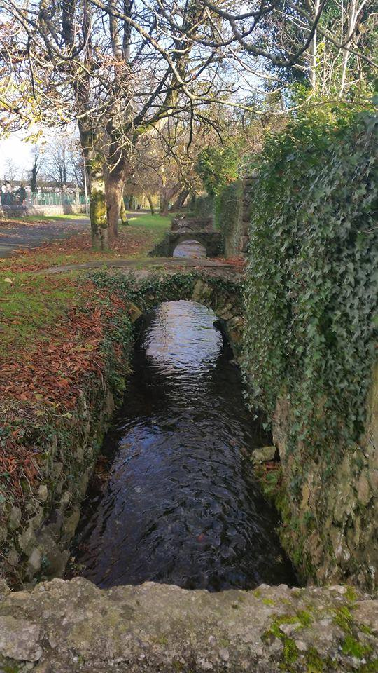 EXTENDED Open Call Reimagine….The Walks, Loughrea