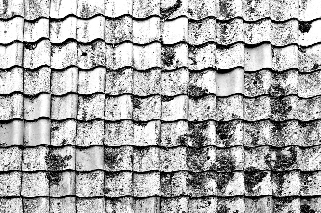 IAF to take part in Open House Worldwide Festival this month