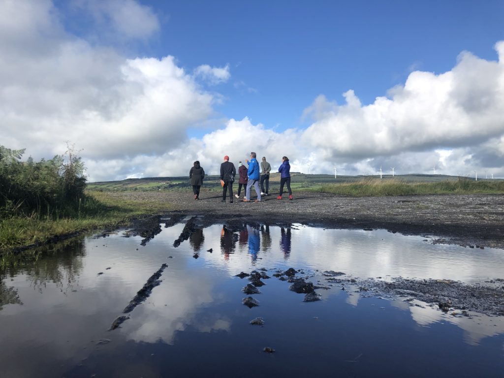 A group on a Reimagine Workers' Villages biodiversity tour with Global Action Plan Ireland. Photo by project architect Evelyn D'Arcy.
