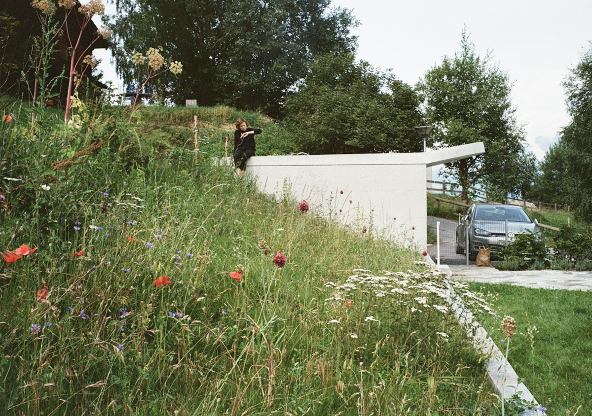 IAF Summer School with zwkr (online)