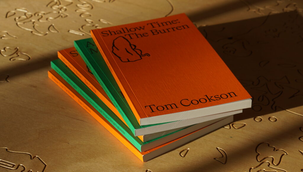 LINA Writing Award books now for sale in Ireland