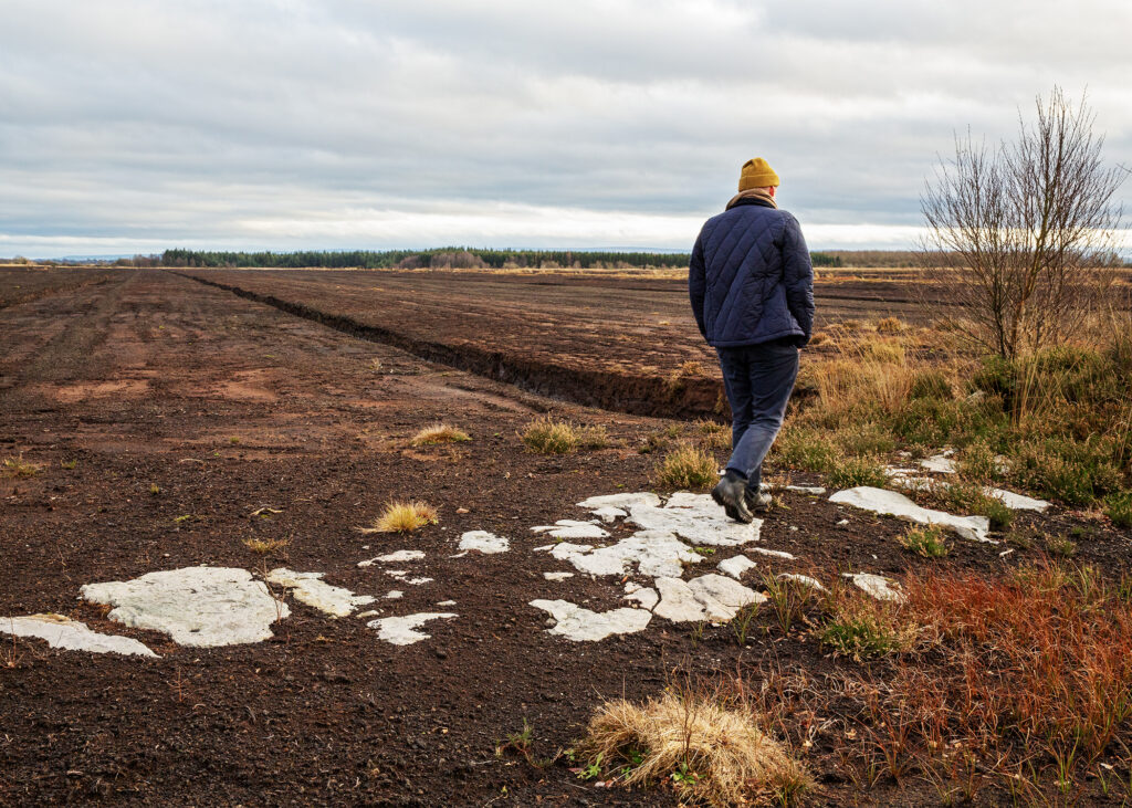 Bog Bothy project update